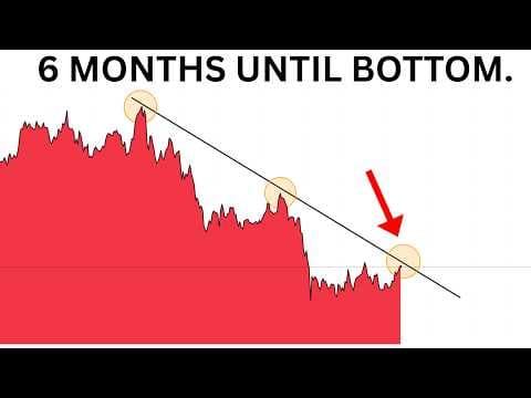 WE ARE HALFWAY THROUGH THE BEAR