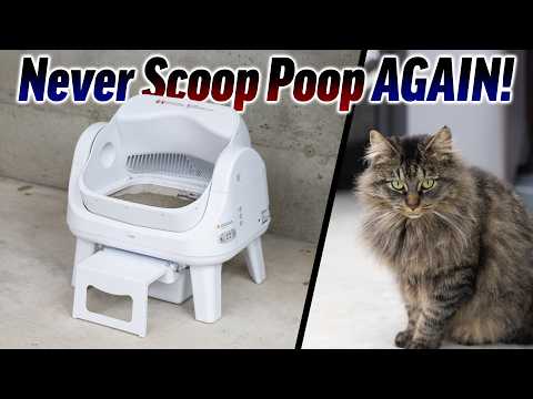 Autopilot for Cats is SHOCKINGLY Cheap! - PetPivot AutoScooper 12