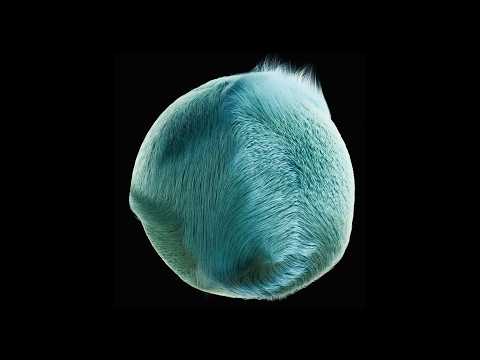 The Hairy Ball Theorem