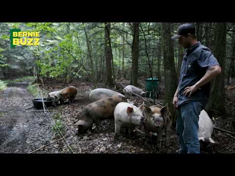 Meet Donald and Jessica Muller, a Young Vermont Farm Family