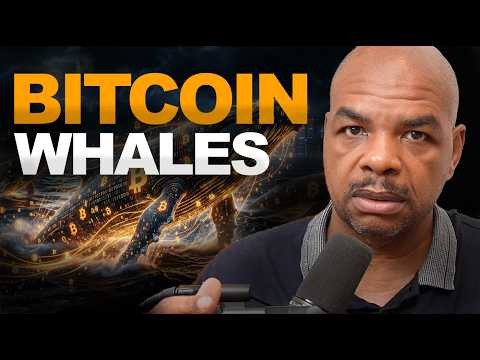 BTC 🐋 Whales WILL SHOCK US!!