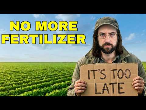 The Strait of Hormuz Crisis Just Triggered a GLOBAL Food Shock