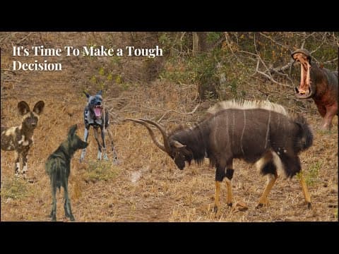 Which Would You Take Your Chances With?