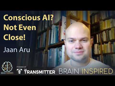 BI 231 Jaan Aru: Conscious AI? Not Even Close!