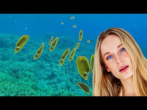 Meta’s SAM 3: The Future of AI Vision Is Here