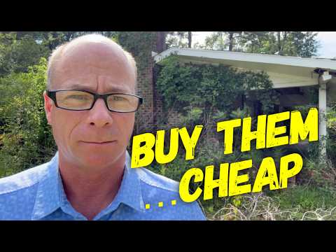 Abandoned Houses Huge Missed Opportunity… Affordable Homes!