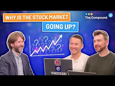 Why Is the Stock Market Going Up?