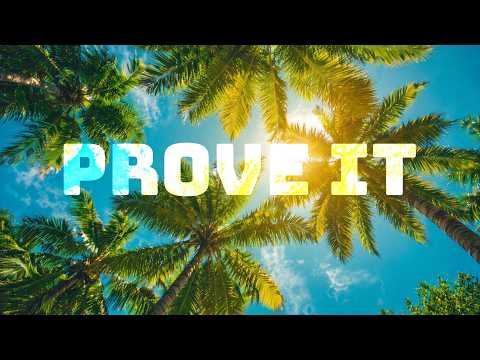 Prove It | Alt Reggae