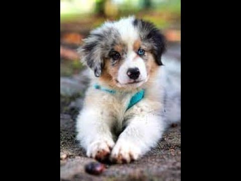 The Stock Market Is Fine For Now