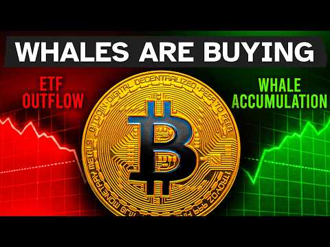 The ETF Lie Is Hiding Bitcoin's Bottom