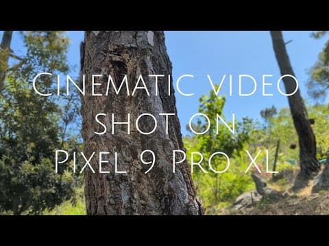 Pixel 9 Pro XL camera review- Video recording performance #camera #pixel9proxl