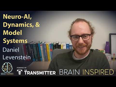 BI 245 Dan Levenstein: Neuro-AI, Dynamics, and Model Systems