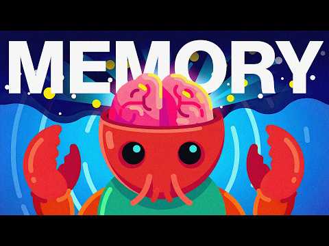 I Fixed OpenClaw’s Biggest Problem (Memory)