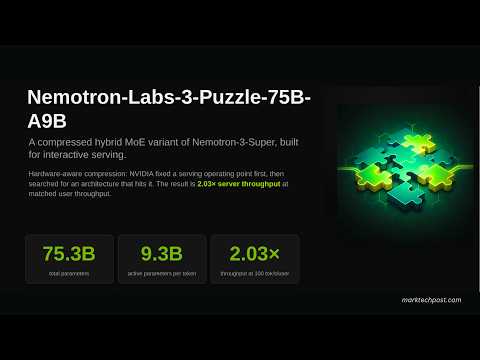 NVIDIA Nemotron-Labs-3-Puzzle-75B-A9B: 2x Throughput From Compressing a Hybrid MoE