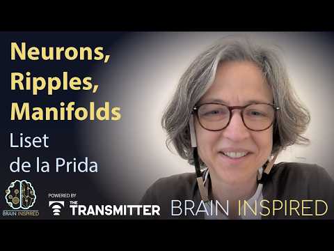 BI 236 Liset de la Prida: Neurons, Ripples, and Manifolds