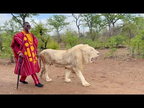 Walk Into 2026 With The Confidence of This Lion!