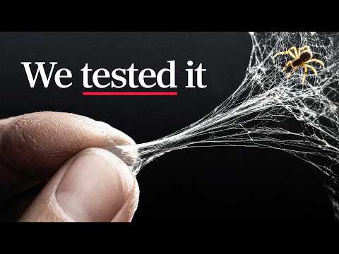 Is spider web really stronger than steel?