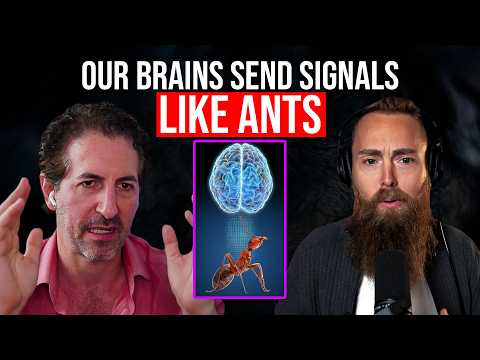 How Our Brains are Wired Together with Moran Cerf, Neuroscientist & Professor