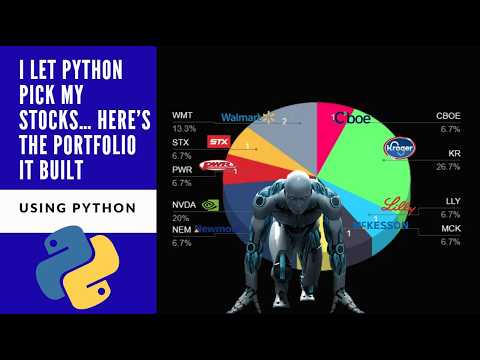 I Let Python Pick My Stocks… Here’s the Portfolio It Built