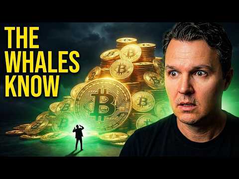 Now Is A Great Time To Buy Crypto