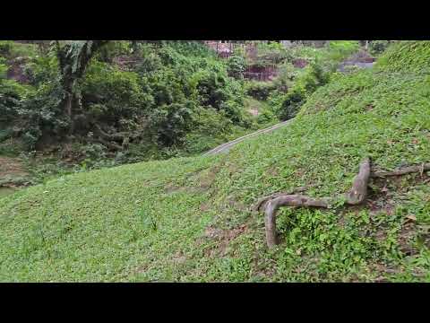 Xiaomi 17 Pro 4K 60FPS Video Test | Camera Quality, Stabilization & Audio Recording Test