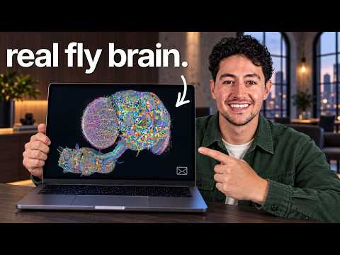 I Uploaded A Fruit Fly Brain To Reply To My Emails