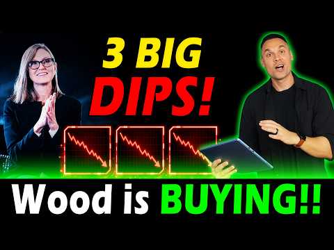 3 AI Stocks Cathie Wood is Buying Now ON THE DIP! 🤑
