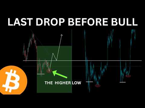 BITCOIN: THE LAST DROP BEFORE BULL