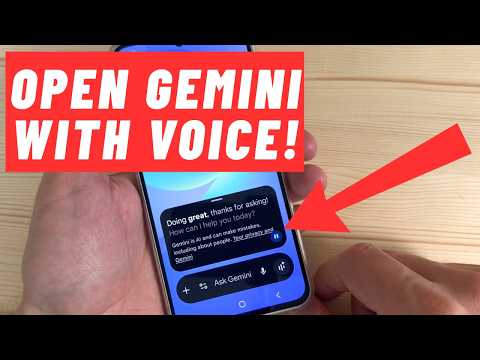 Open GEMINI with Voice Command!