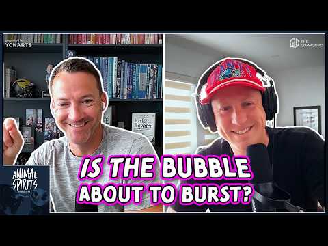 The Next Michael Burry | Animal Spirits 480