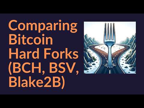Comparing Bitcoin Hard Forks (BCH, BSV, Blake2B)