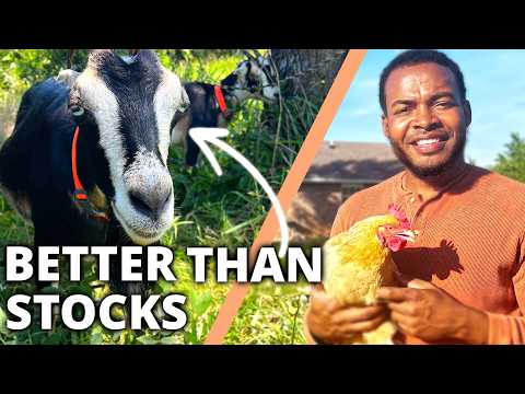 Why I Sold my Stocks and Bought a Farm