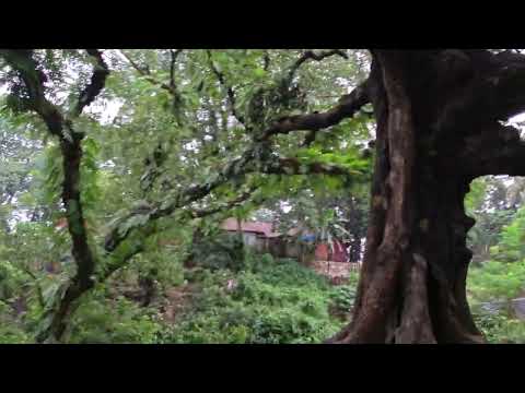 Vivo X300 FE 4K 60fps Video Test, Vivo X300 FE Camera Test